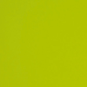 K 248 Color Concept - Farn - Kapradina